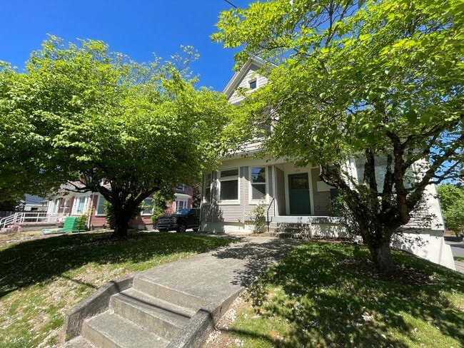 Building Photo - Fantastic Newly Remodeled Lower Unit 1
