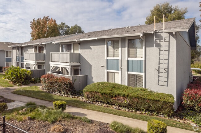 Primaria - The Everette