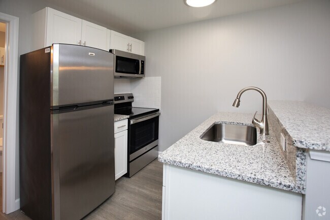 Studio-290SF-Kitchen