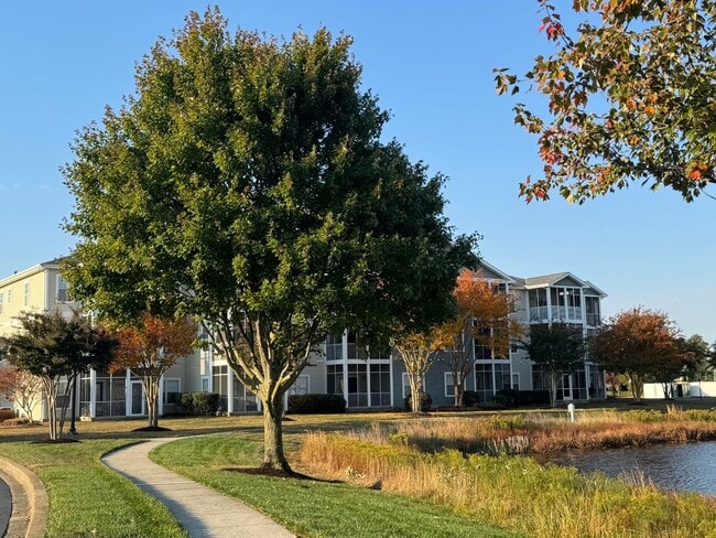 Building Photo - Spacious 3rd Floor Apartment in The Village of 5 Points – Lewes, DE Unit 1301