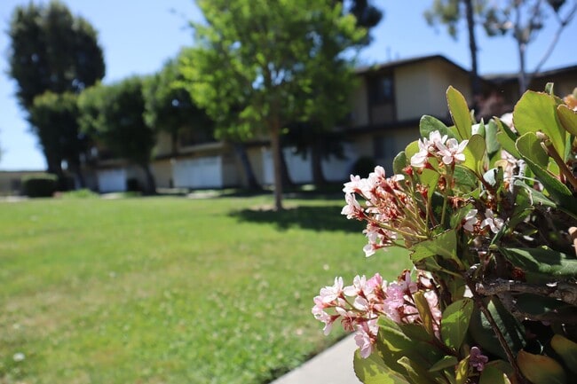 Photo - 1330 Sunset Ave, West Covina