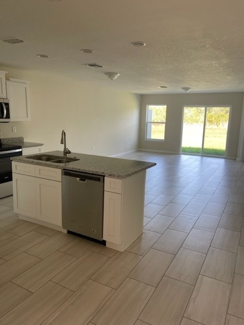 Photo - 833 Ognon Ct