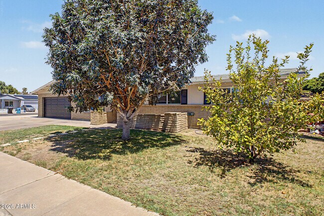 Photo - 10217 N 37th Ave