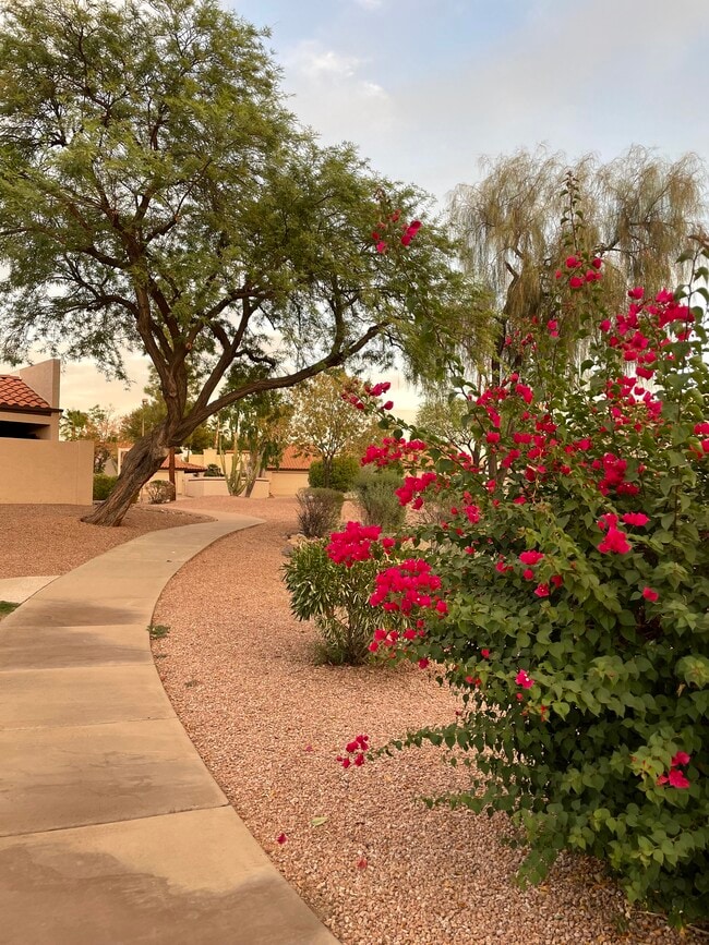 Photo - 10929 E Yucca St