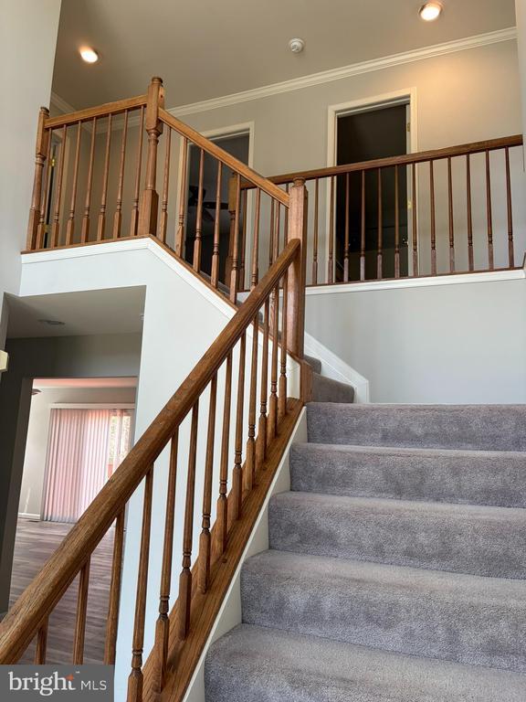 Photo - 506 Summervale Ct