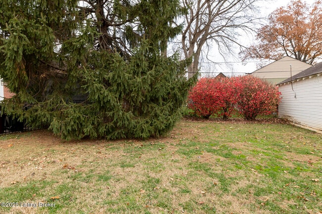 Photo - 505 Oxford Pl