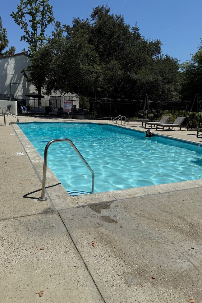 Photo - 23671 Park Capri Unidad 46 Rental