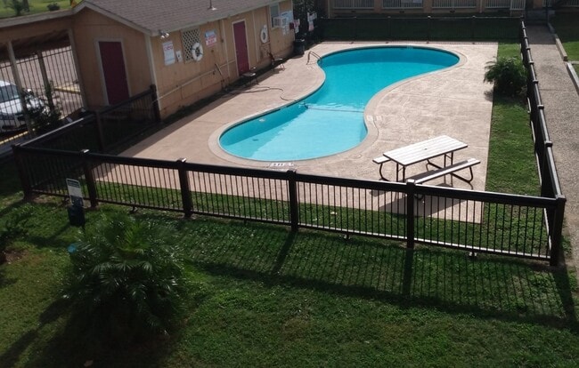 Piscina y terraza - 2311 71st St