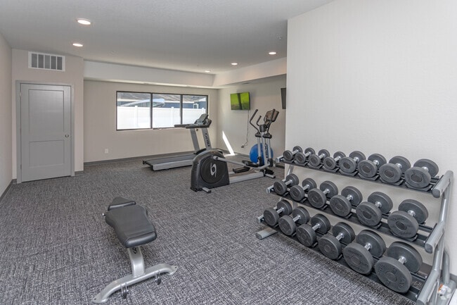 Fitness