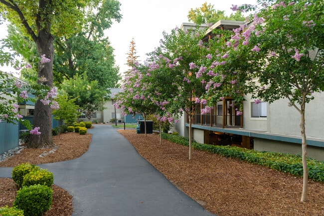 American River Commons