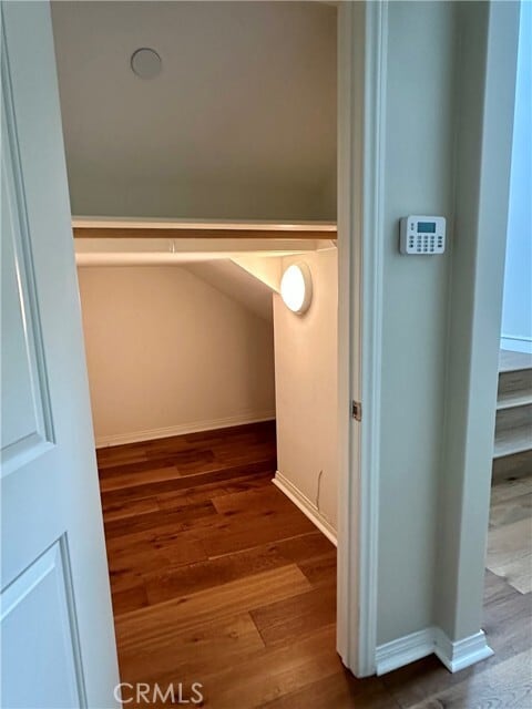 Photo - 111 Island Coral