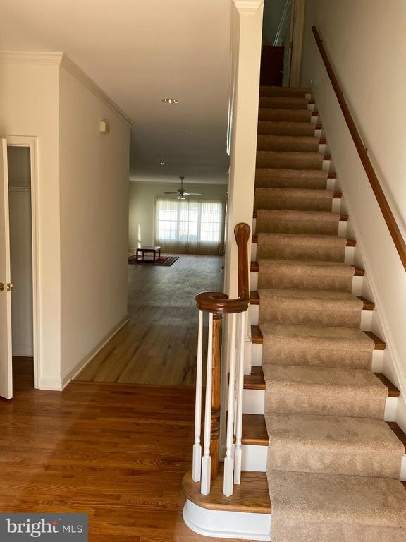 Photo - 28498 Sawgrass Ct