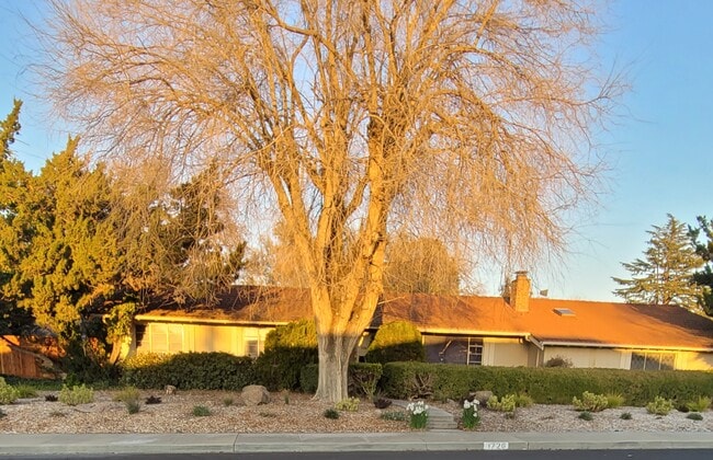 Photo - 1726 Crescent Dr