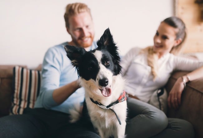 Photo - Traditions Bloomington