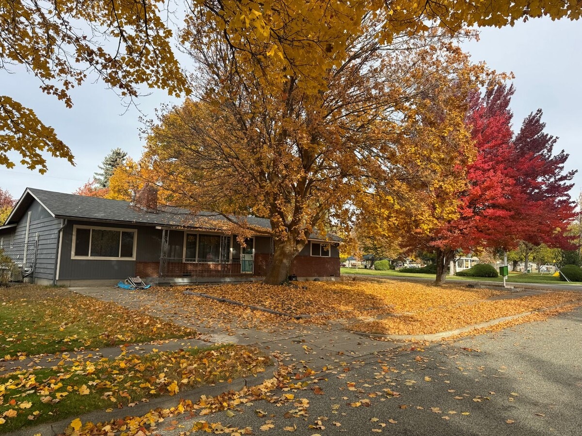 Spacious Single-Story Home on Corner Lot - Spacious Single-Story Home on Corner Lot