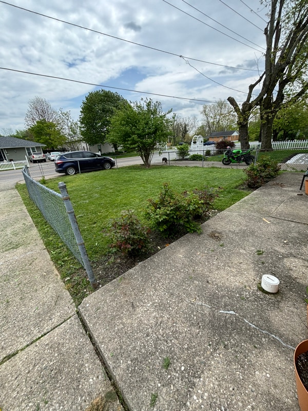 Photo - 173 Olive Rd