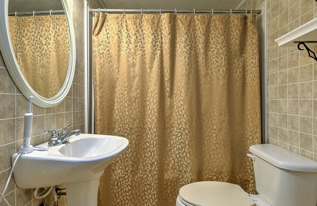 Photo - 4 bedroom 2 bath home! Tree Streets