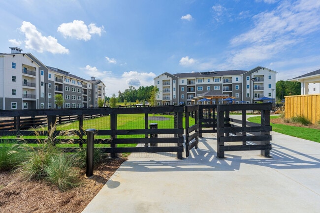 Bark Park - Township at Hammond Creek