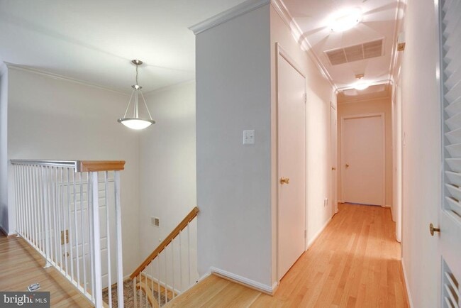 Photo - 10535 Brevity Dr