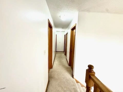 Photo - 2391 Williams Dr