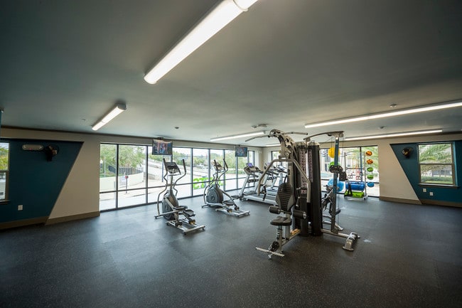 Lofts at LaVilla | Jacksonville, FL | Fitness Center