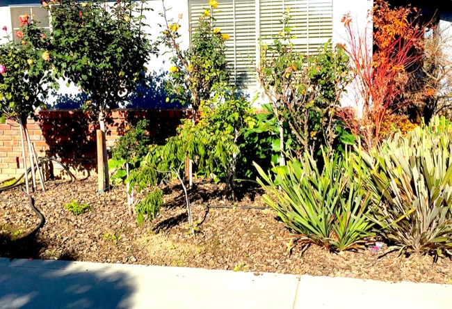 Photo - 1771 Meridian Ave