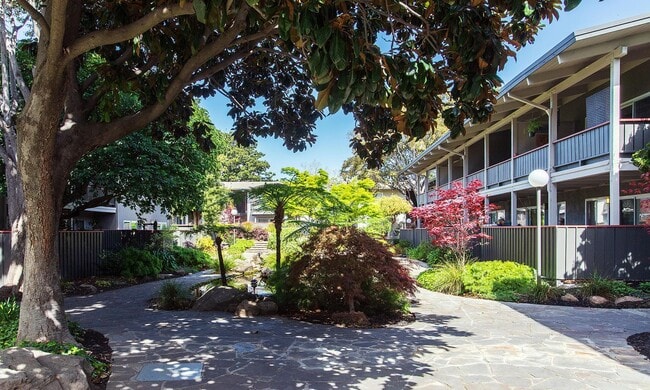 Park Orchard