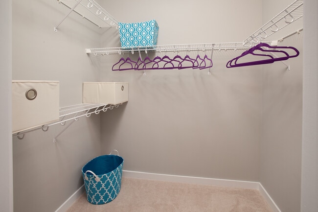Spacious, walk-in closet