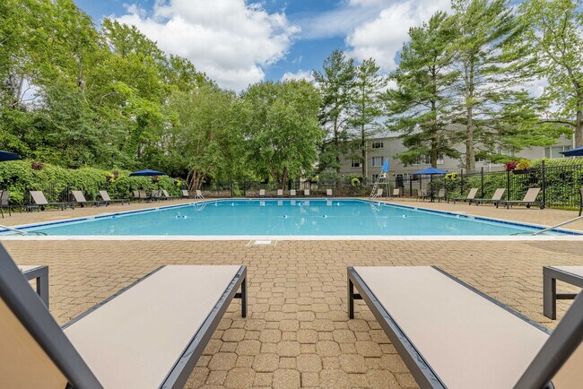 Pool - Renaissance Club