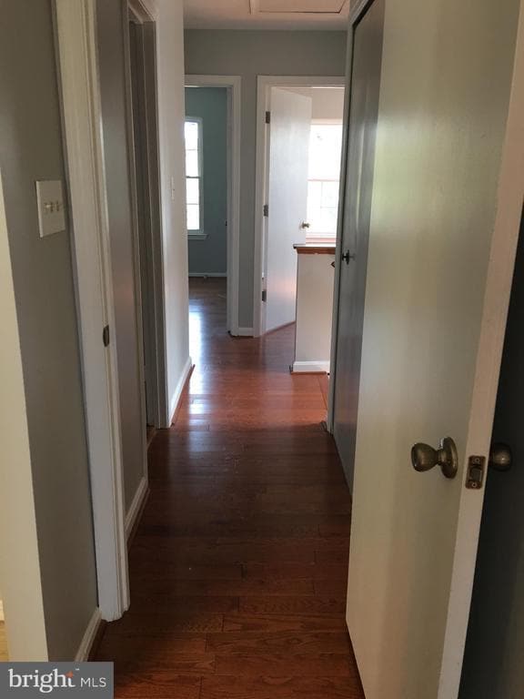 Photo - 4070 Bluebird Dr