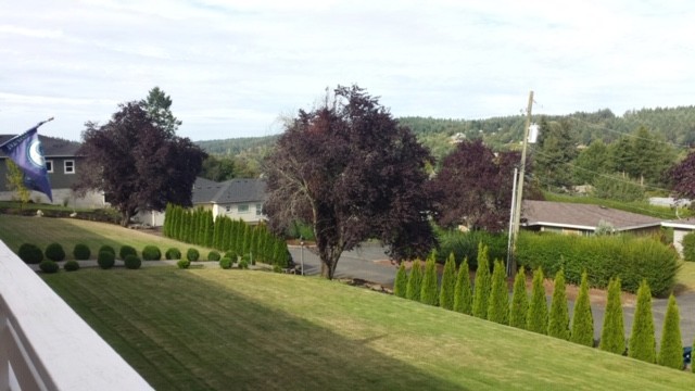 Lawn and Territorial Views - 7800 Stinson Ave Apartments Unit 3