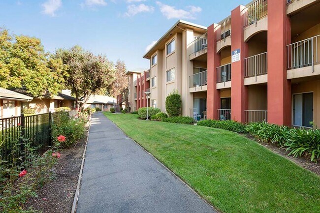 Lakeshore Apartments - Lake Views!