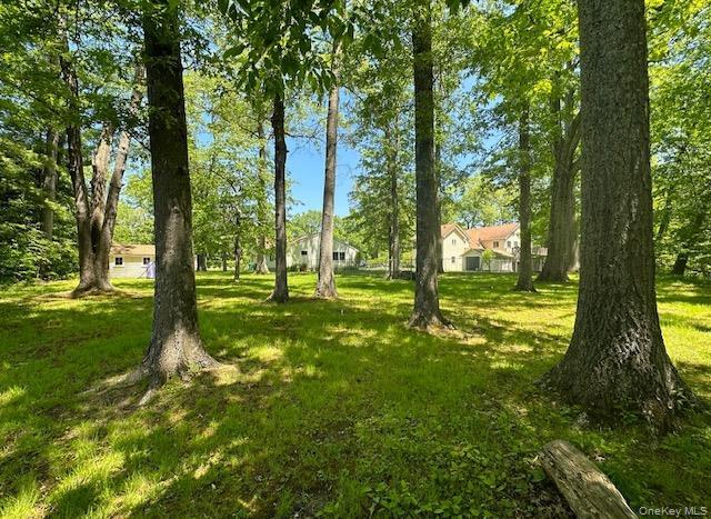 Photo - 1055 Bruynswick Rd