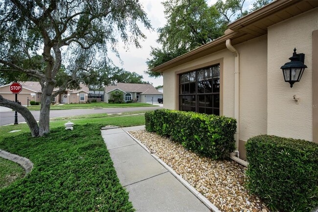 9307 Palm Haven Ct