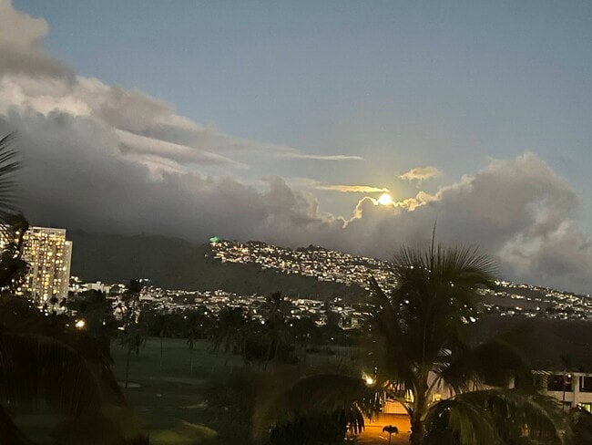 Evening view - 320 Liliuokalani Ave Unit 604