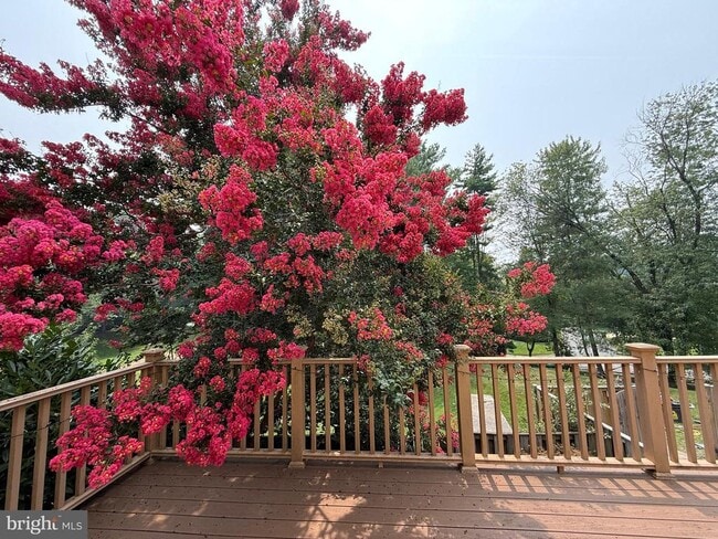 Photo - 7136 Swansong Wy