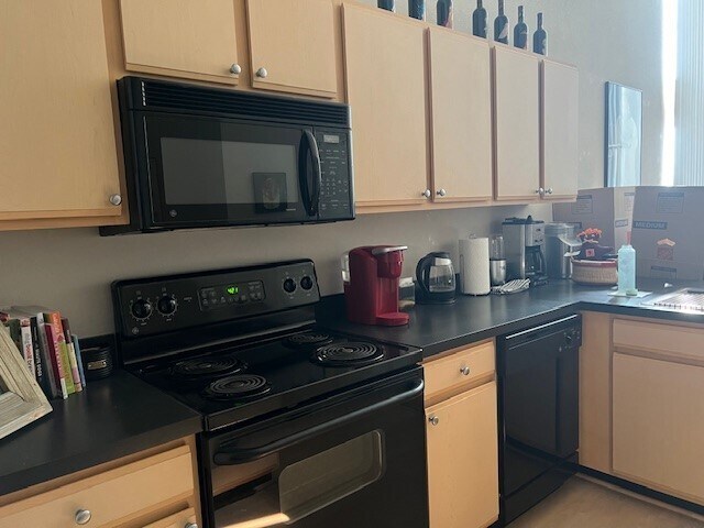 Kitchen 2 - 200 S Kirkwood Rd Unit 325