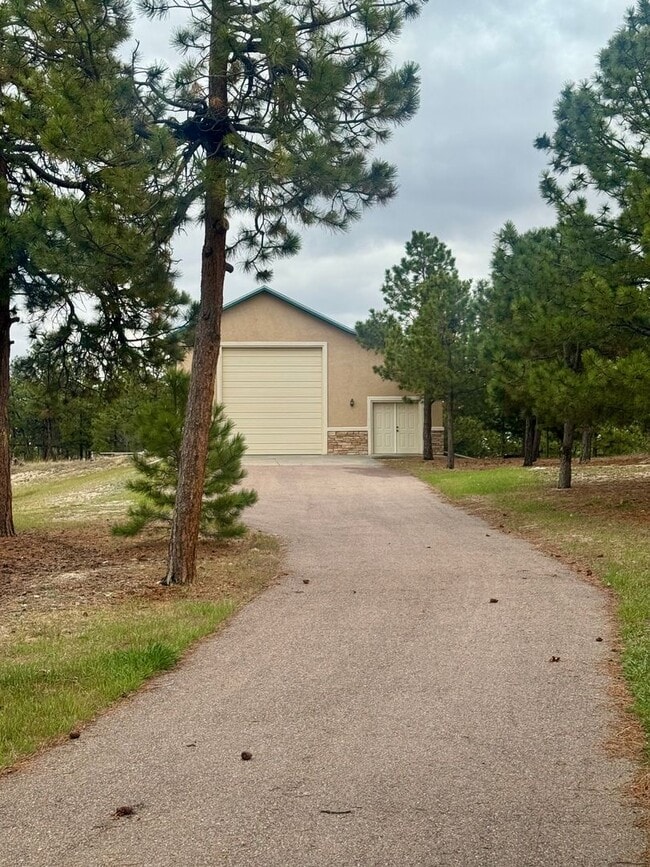 Photo - Beautiful home in Black Forest on 2.5 acres