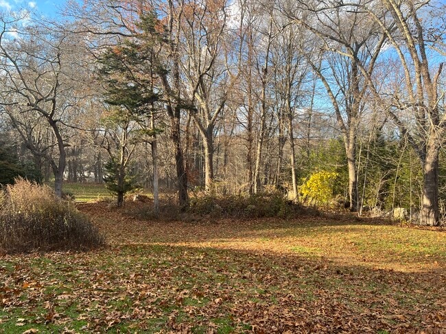 Back - 6 Churchill Ln Unit In law Utilities Included