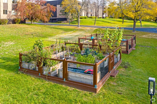 Community Garden