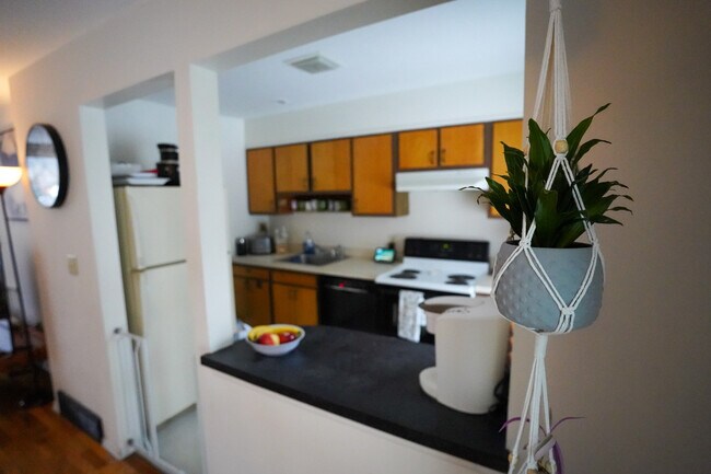 Photo - 120 James St