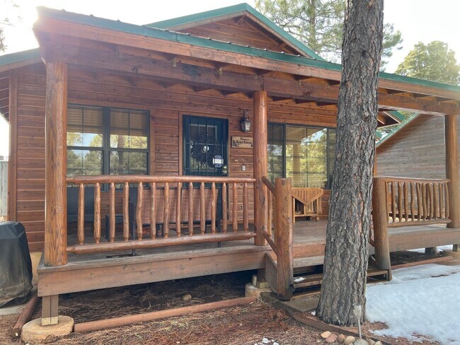 2689 Palomino Trail