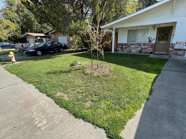 Front Yard - 4828 Cowell Blvd Townhome