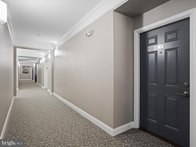 Hallways - 24637 Woolly Mammoth Ter Unit 303