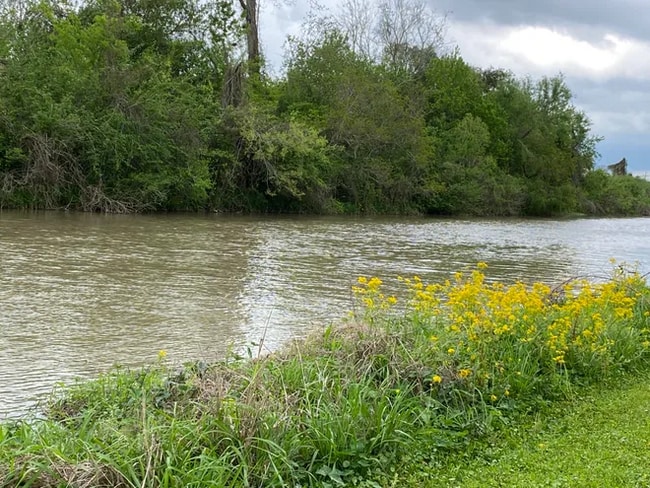 Photo - 3162 Highway 1 S