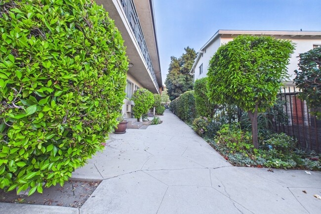 Building Photo - 6743 Whitsett Avenue