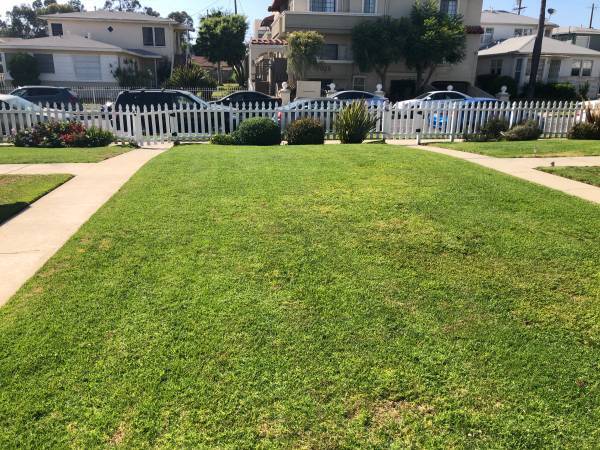 Front Lawn - 7026 Flight Ave Unit 7026