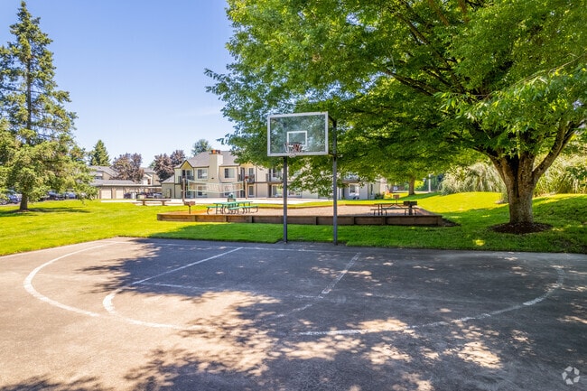 Basketball Court Volleyball - Chase Village