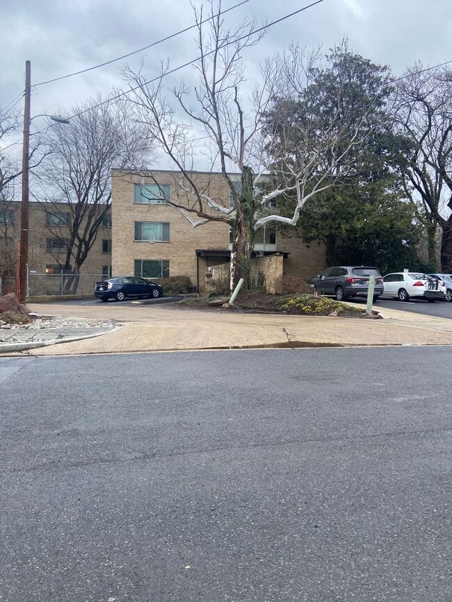 Building Photo - Updated One Bed One Bath Just a block from... Rental