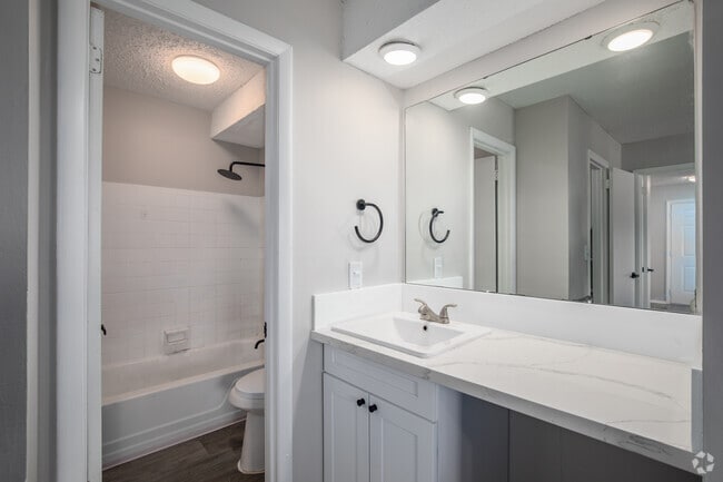 1BR, 1BA - 700SF - Bathroom